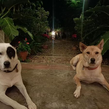 Villa Albizia, Chiang Mai Doi Saket Bagian luar foto