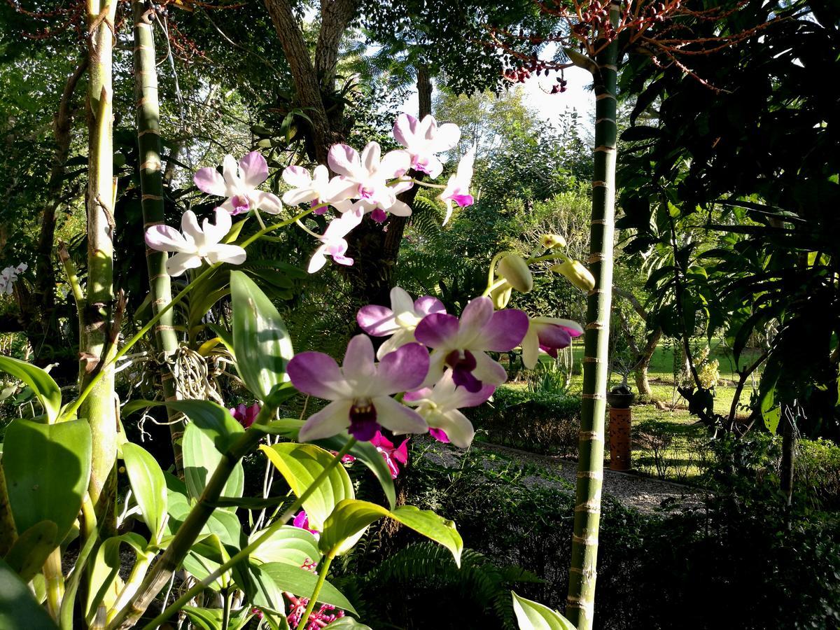 Villa Albizia, Chiang Mai Doi Saket Bagian luar foto