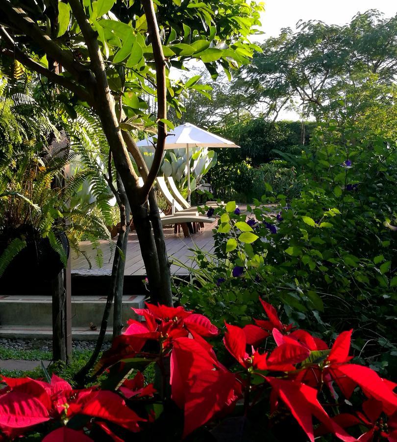Villa Albizia, Chiang Mai Doi Saket Bagian luar foto