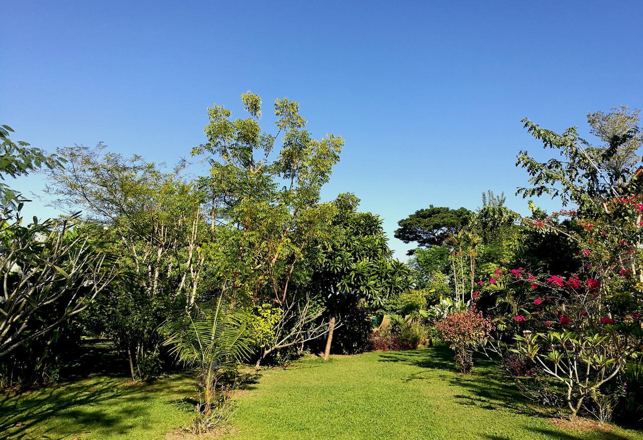 Villa Albizia, Chiang Mai Doi Saket Bagian luar foto