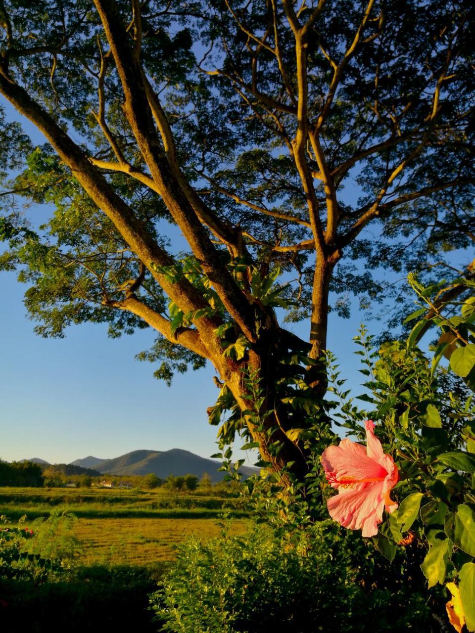 Villa Albizia, Chiang Mai Doi Saket Bagian luar foto